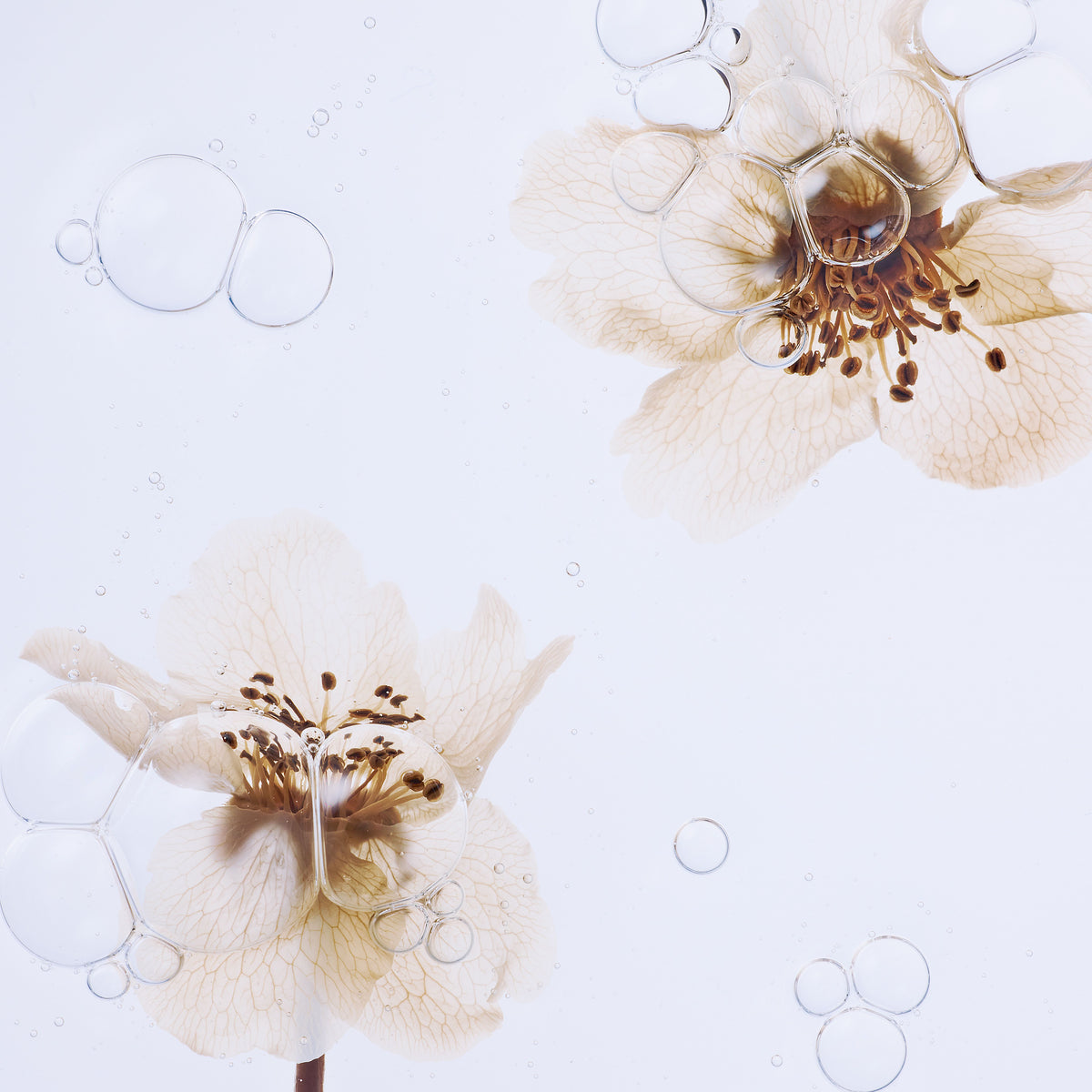 Whamisa Organic Pear Blossom Essence Toner